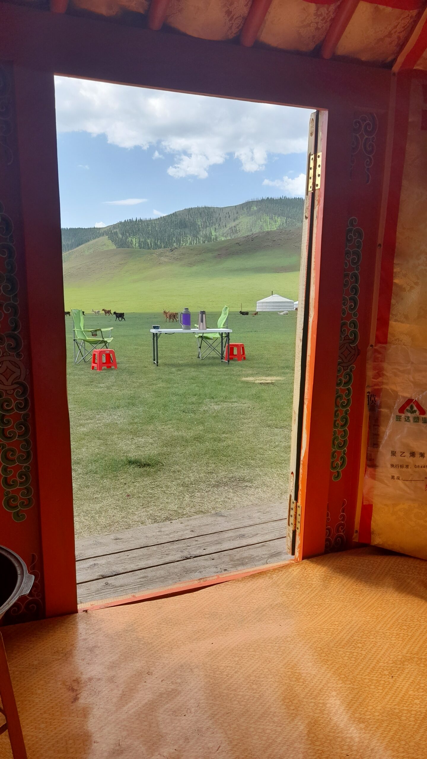 In der mongolischen Steppe