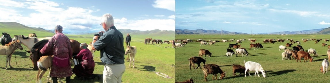 Zu Besuch bei Nomaden in der Mongolei