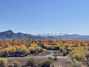 Altai Region