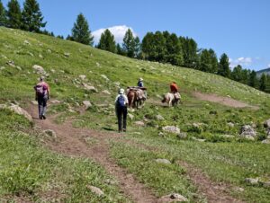Wanderung in der Steppe