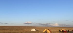 In der Steppe