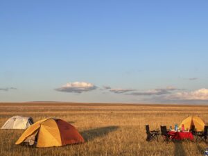 Herbst in der Steppe